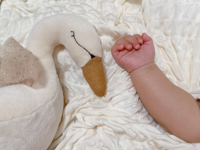 おまもりサブスク